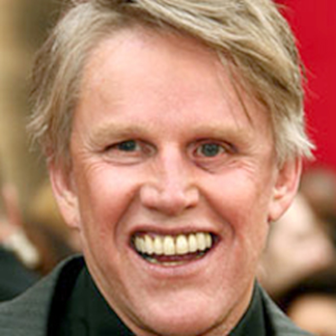 Did Gary Busey Get Busted for Driving Under the Influence? E! Online
